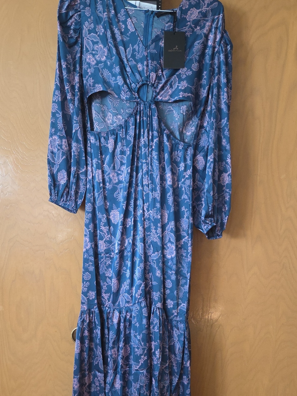 Blue Floral Ring-Front Maxi Dress with Pink Floral Print